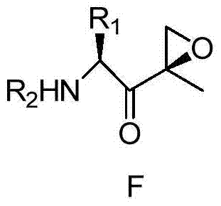 Preparation method of carfilzomib key intermediate and derivatives thereof