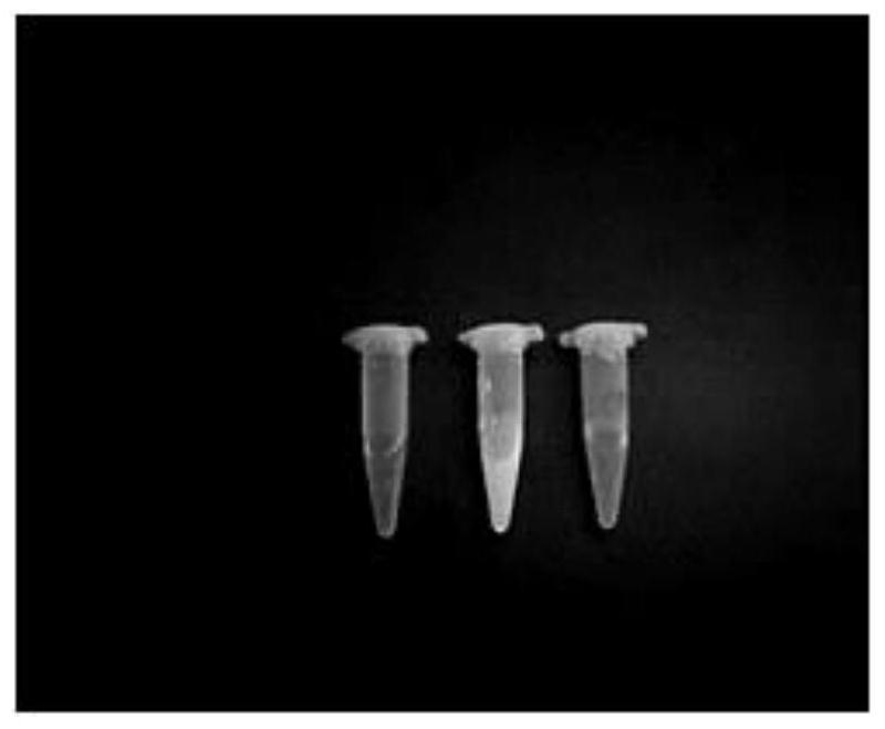 Split aptamer sensors for ATP detection and their applications