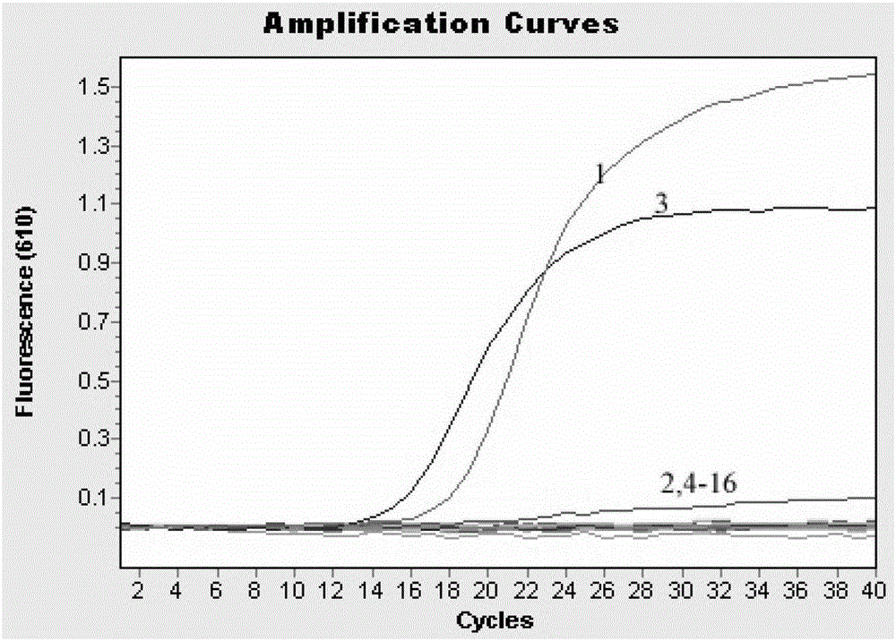 H7N9 Avian Influenza Virus Duplex Fluorescent Quantitative RT-PCR Detection Kit