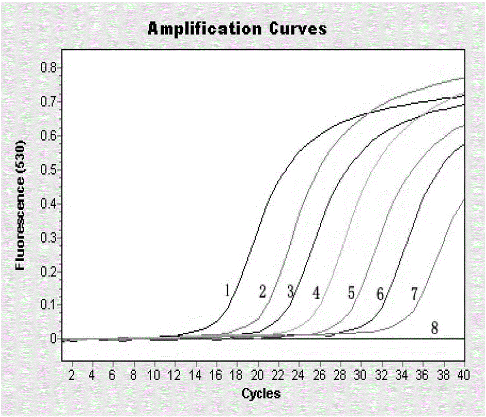 H7N9 Avian Influenza Virus Duplex Fluorescent Quantitative RT-PCR Detection Kit