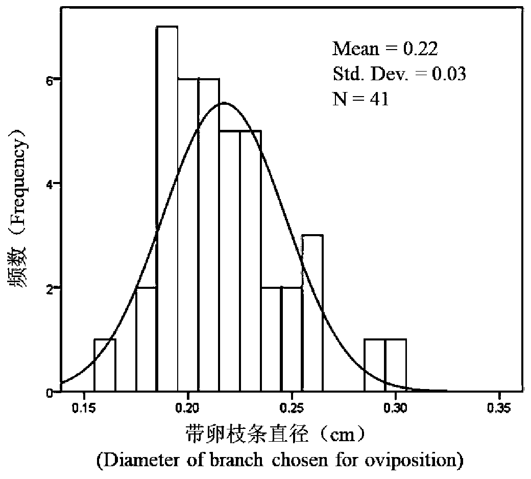 Prevention and control method of ricania sublimbata of tea trees