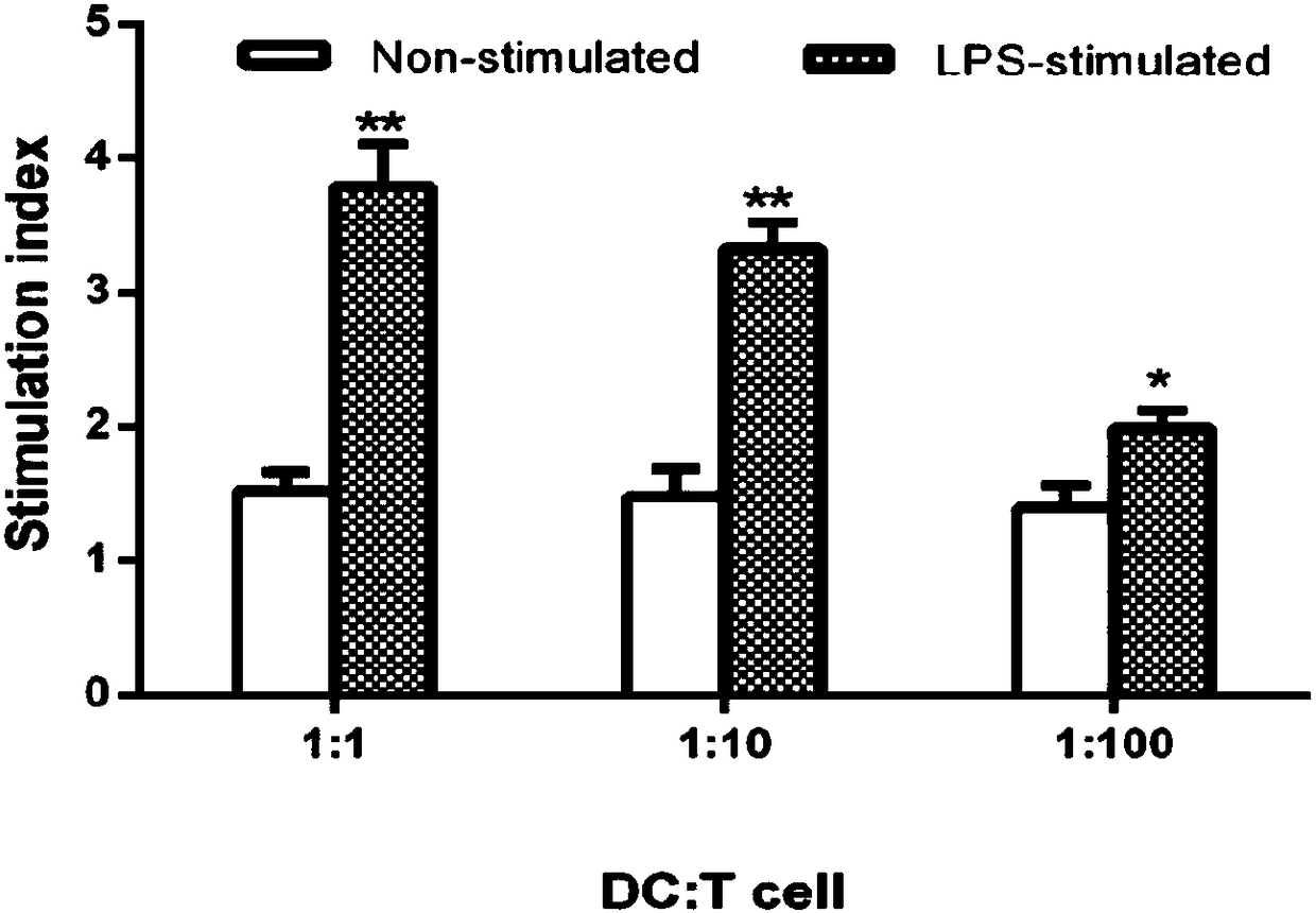Chicken bone marrow-derived dendritic cell targeting peptide SP and application thereof