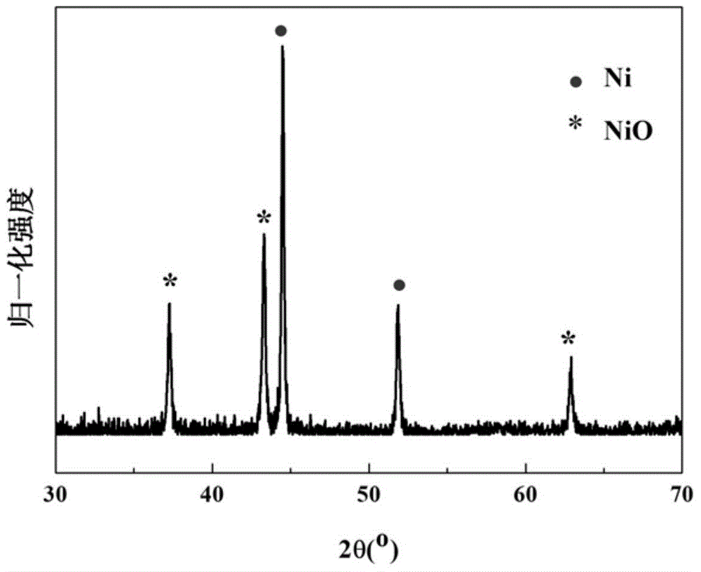 Exchange bias nickel-base ferromagnetic/antiferromagnetic composite nano fiber and preparation method thereof