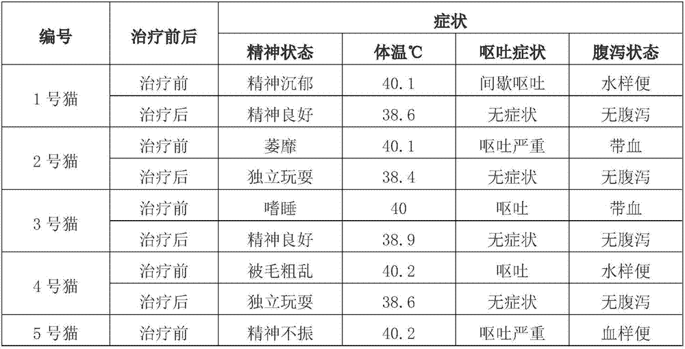 Medicine capable of controlling feline distemper as well as preparation method and applications of medicine