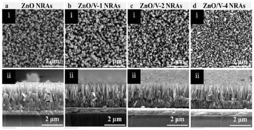 A kind of vanadium-doped zno nanorod array photoanode and its preparation method and application