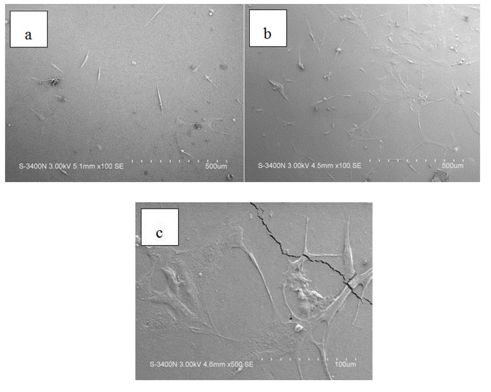 Mesoporous calcium magnesium silicate/polylactic acid composite material as well as preparation method and use thereof