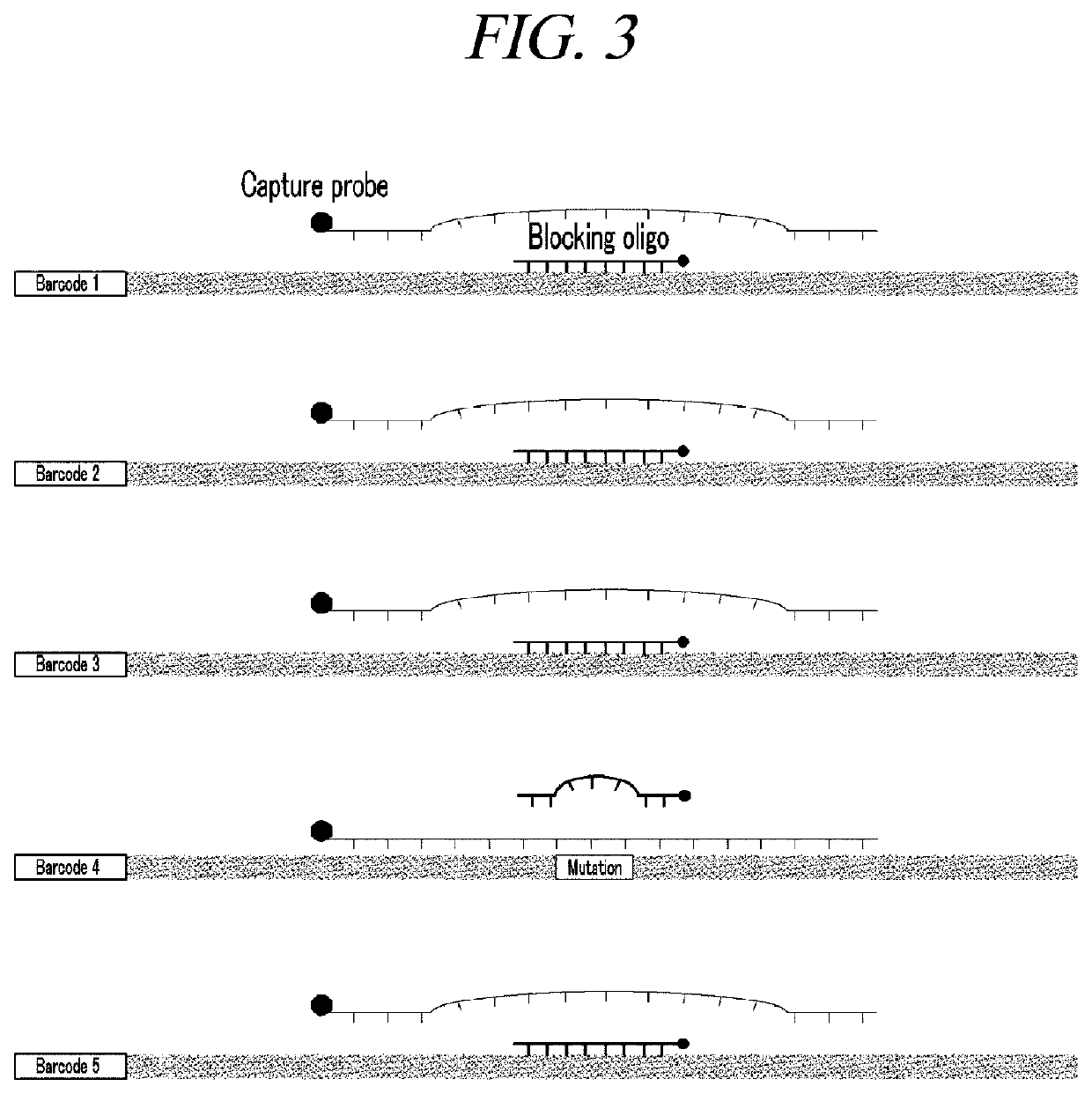 Method for amplification and quantitation of small amount of mutation using molecular barcode and blocking oligonucleotide