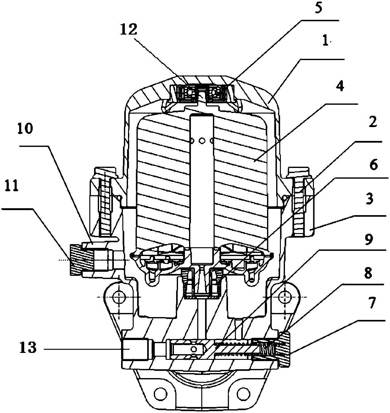 Centrifugal rotor filter device with by-pass branch pipe