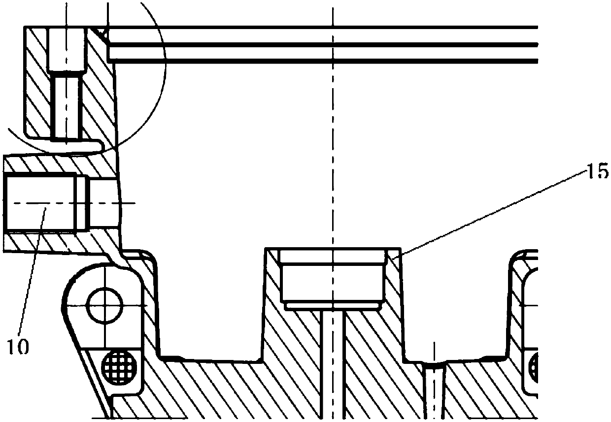 Centrifugal rotor filter device with by-pass branch pipe