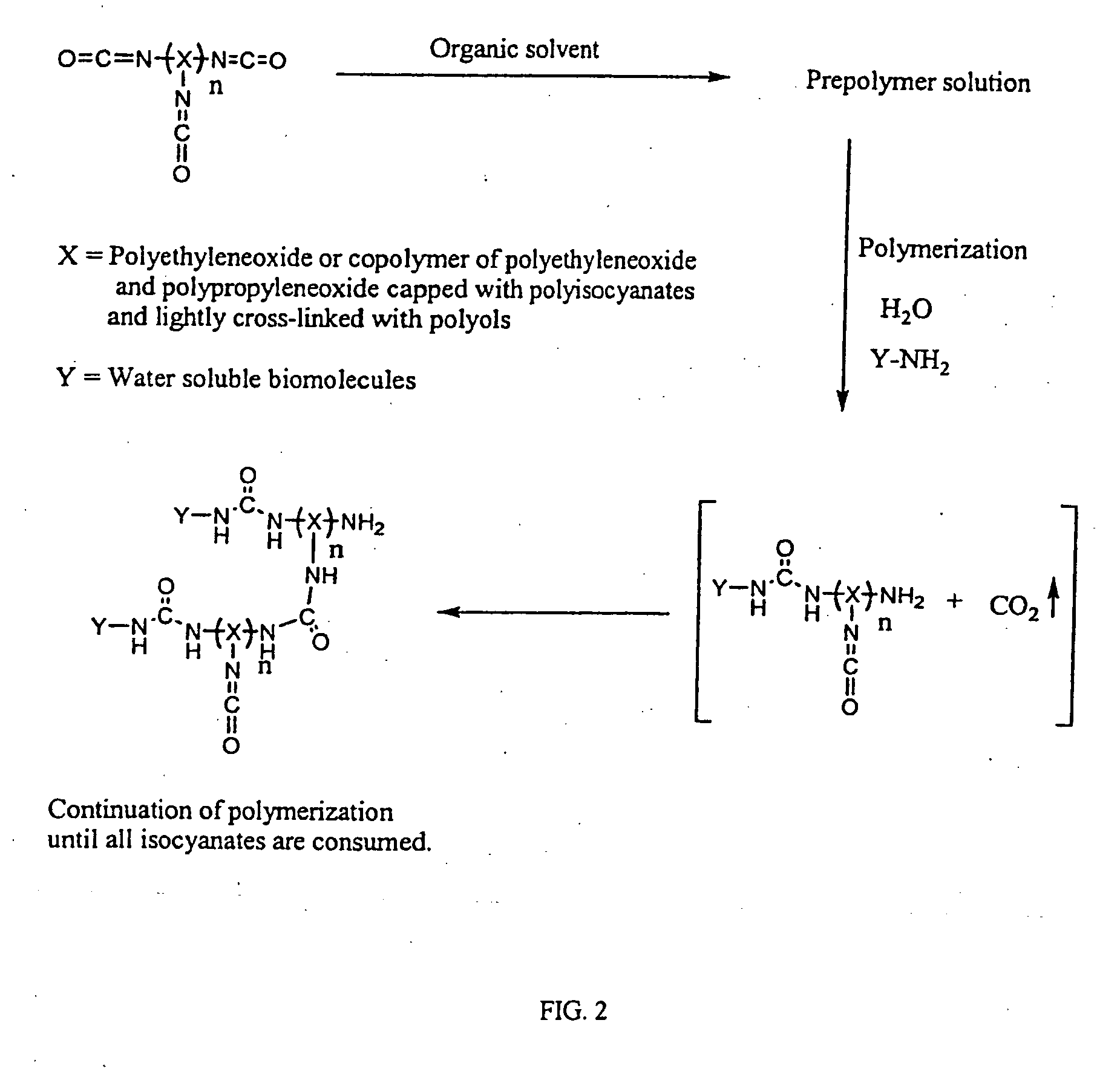 3D format biochips and method of use