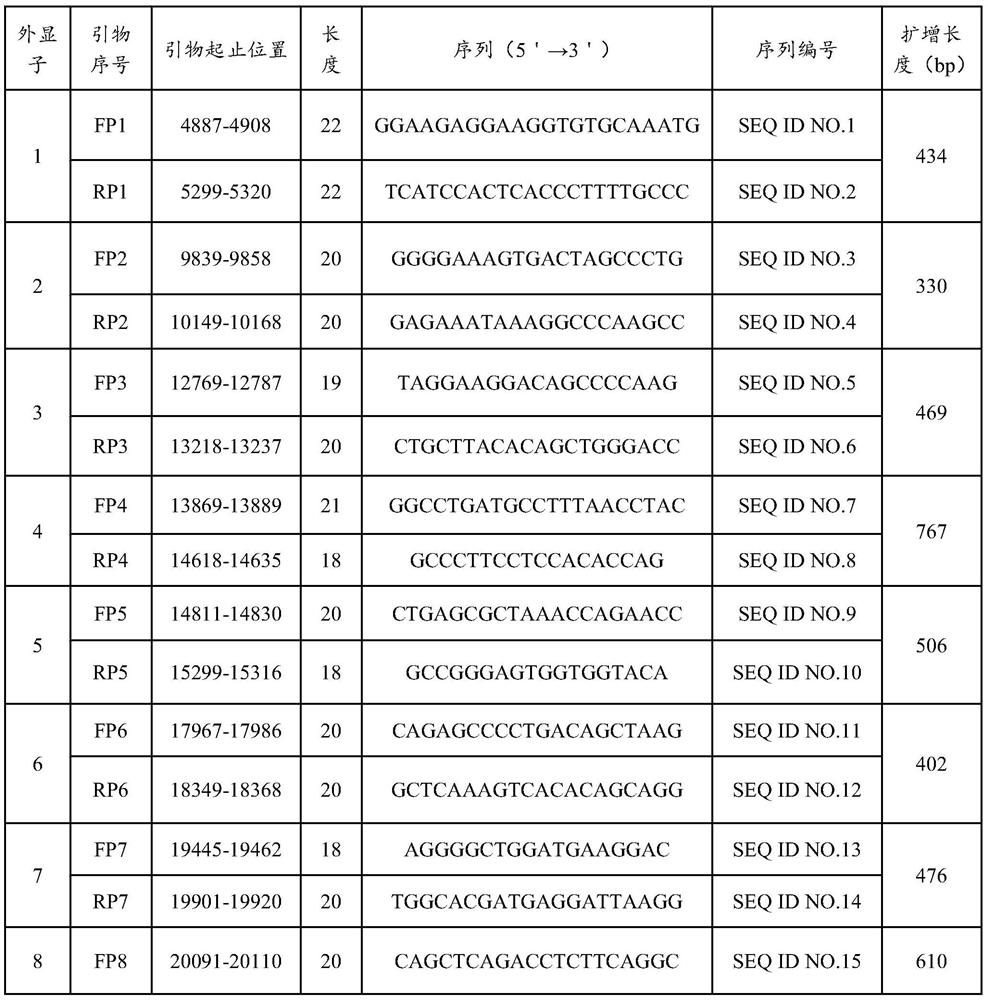 Primer set for detecting human SERPINF1 gene mutation and kit thereof