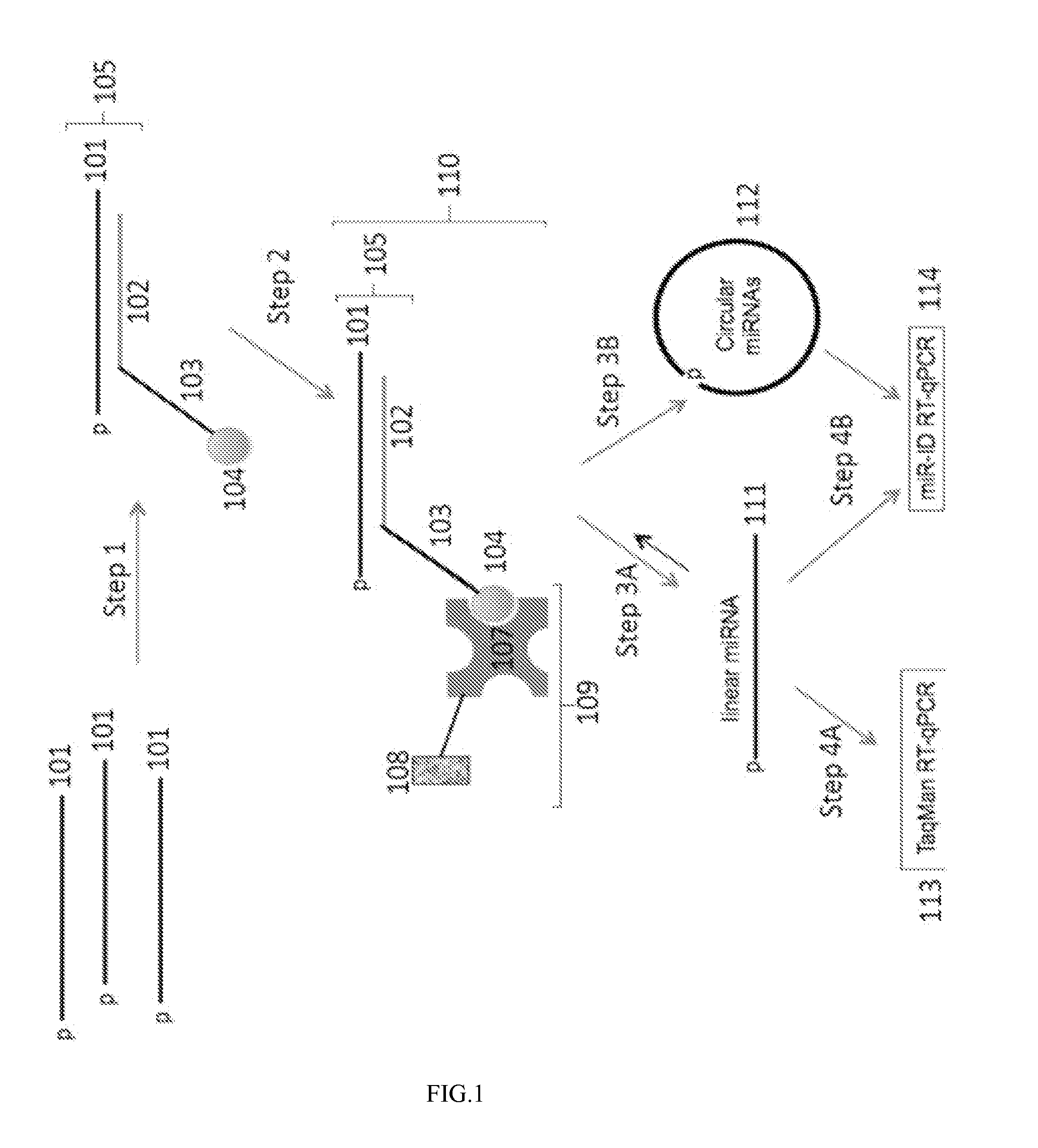Methods, compositions and systems for the analysis of nucleic acid molecules
