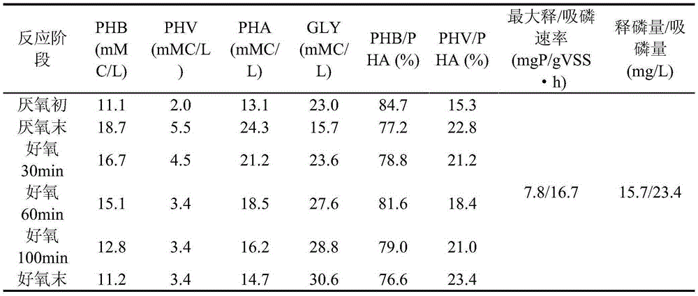 Process of treating low cn ratio domestic sewage by anaerobic/aerobic sndpr system enriched with phosphorus accumulating bacteria