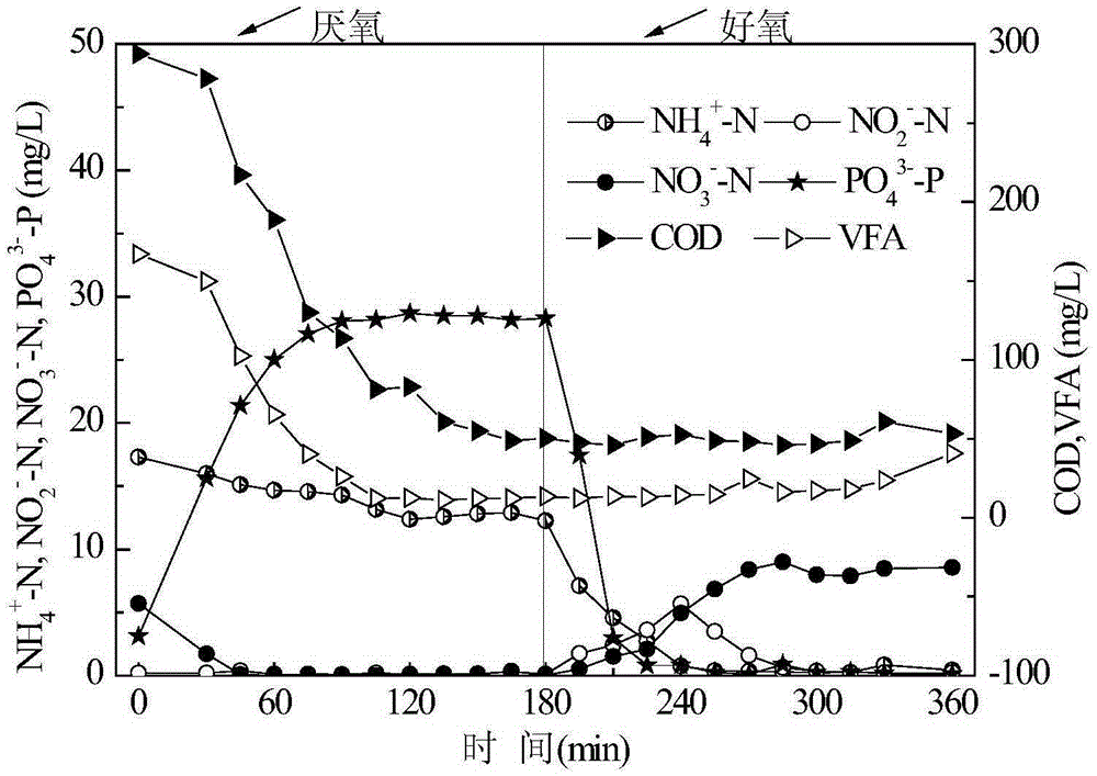 Process of treating low cn ratio domestic sewage by anaerobic/aerobic sndpr system enriched with phosphorus accumulating bacteria