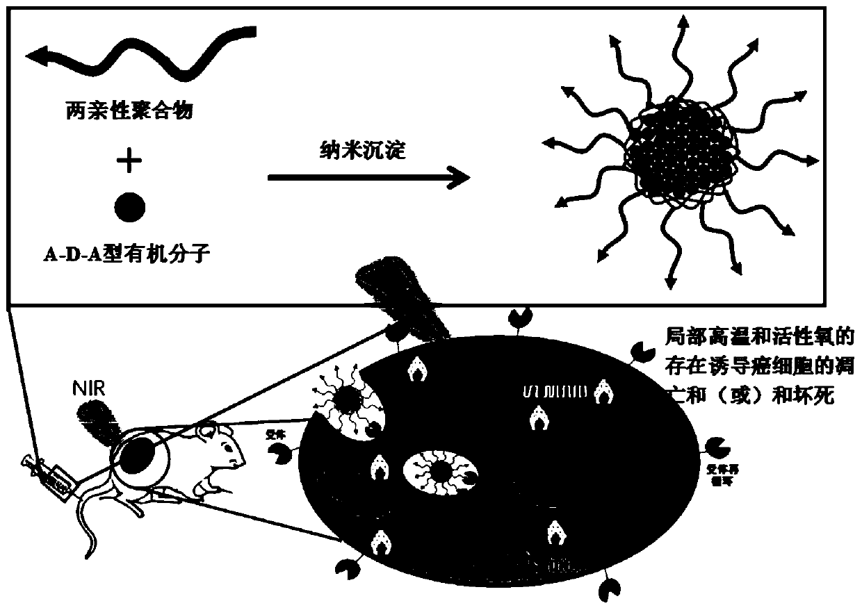 Preparation method and application A-D-A type organic molecule/amphiphilic polymer composite nanoparticles