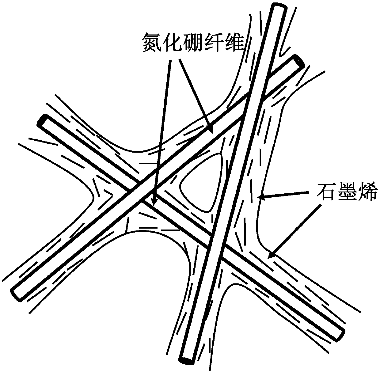 Graphene/boron nitride fiber composite and preparation method thereof