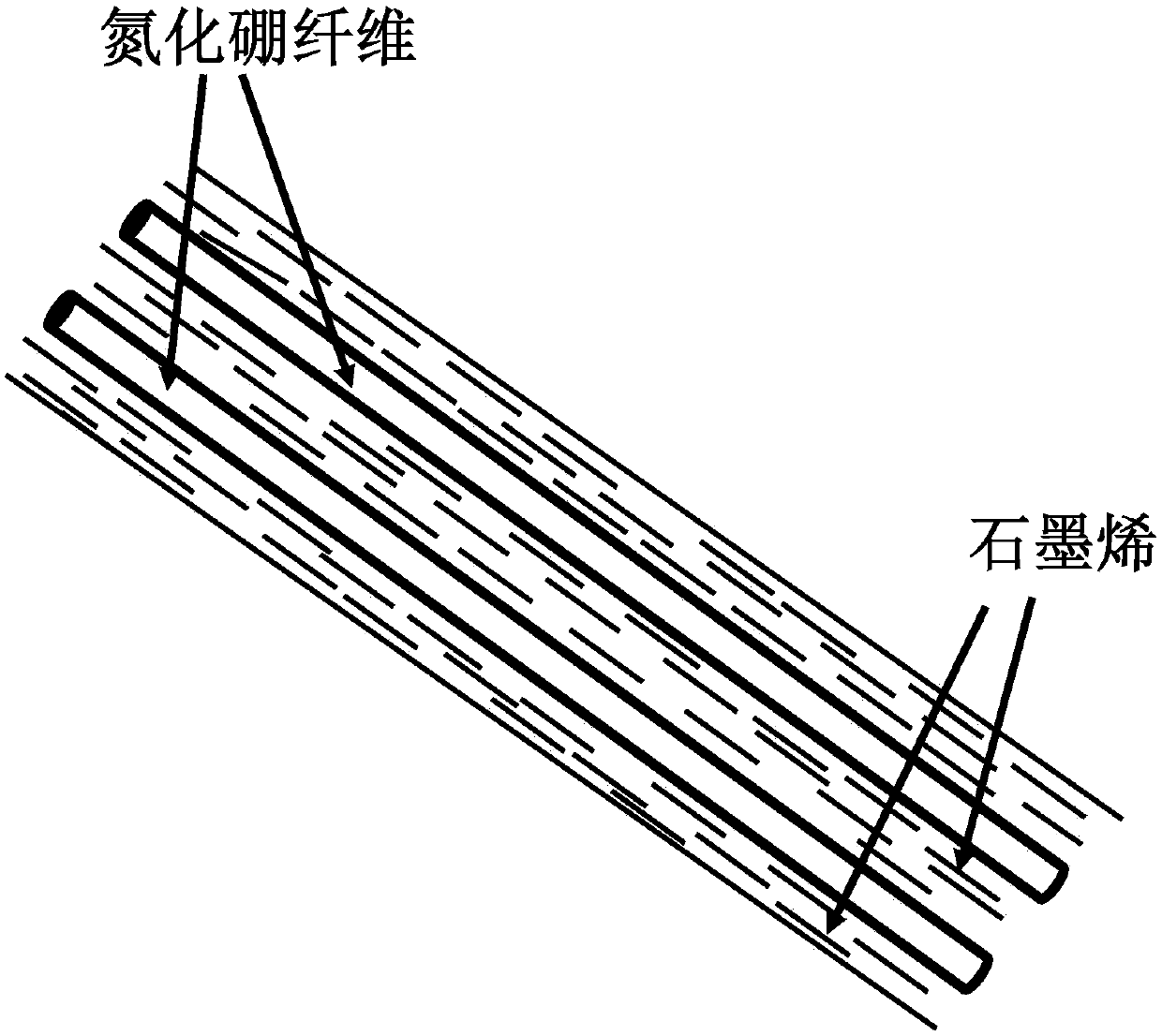 Graphene/boron nitride fiber composite and preparation method thereof