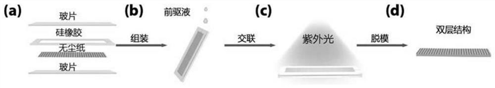 Preparation method and application of universal double-layer hydrogel driver