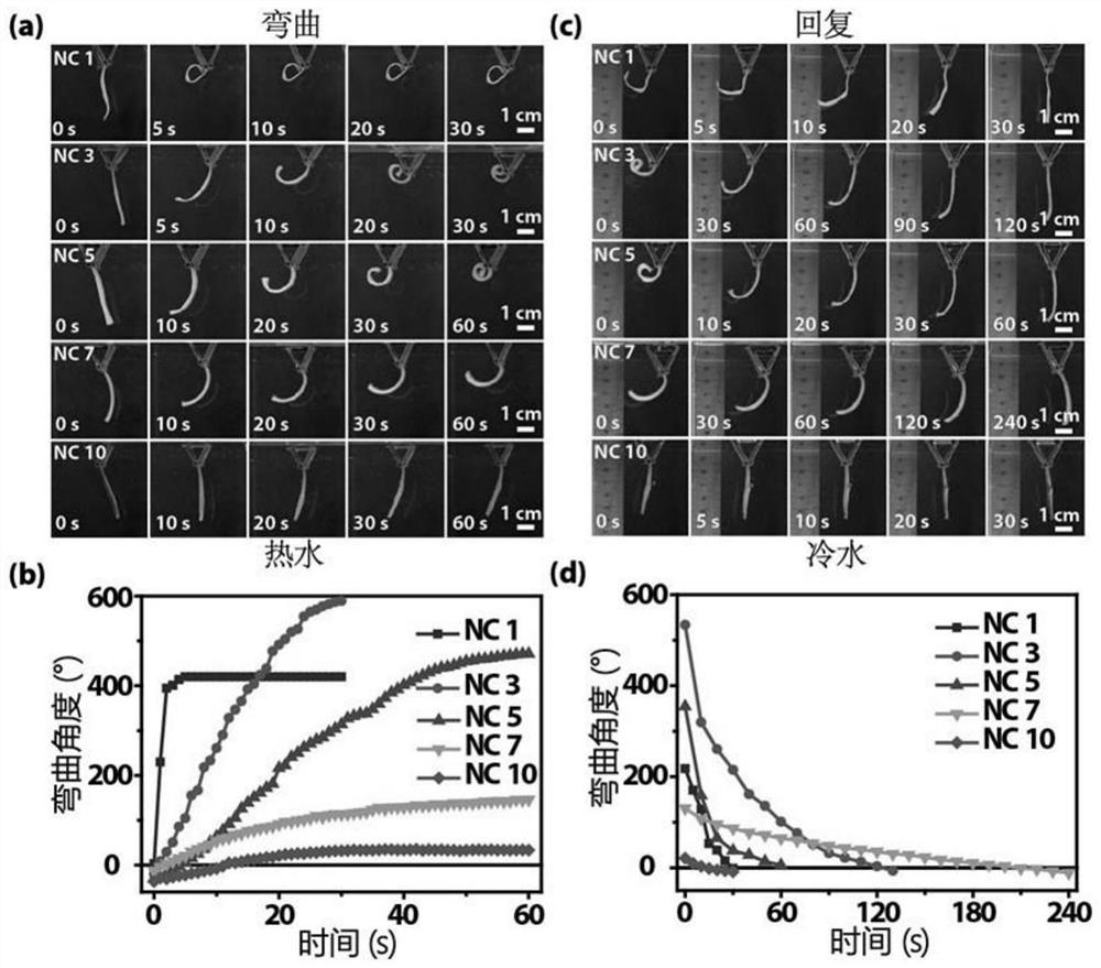 Preparation method and application of universal double-layer hydrogel driver