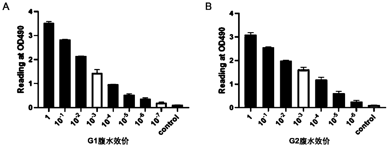 Neutral monoclonal antibodies for resisting GDF15 and application of neutral monoclonal antibodies for resisting GDF15