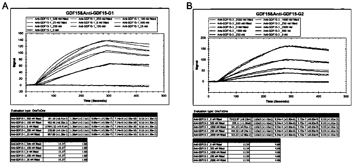 Neutral monoclonal antibodies for resisting GDF15 and application of neutral monoclonal antibodies for resisting GDF15
