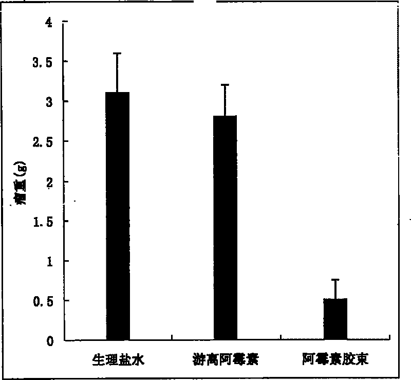 Nanometer capsule of anthracene nucleus anticancer antibiotic with polyethylene glycol-phospholipid