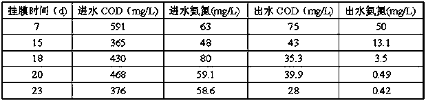 Manufacturing method of flow-separated ball carrier for sewage treatment