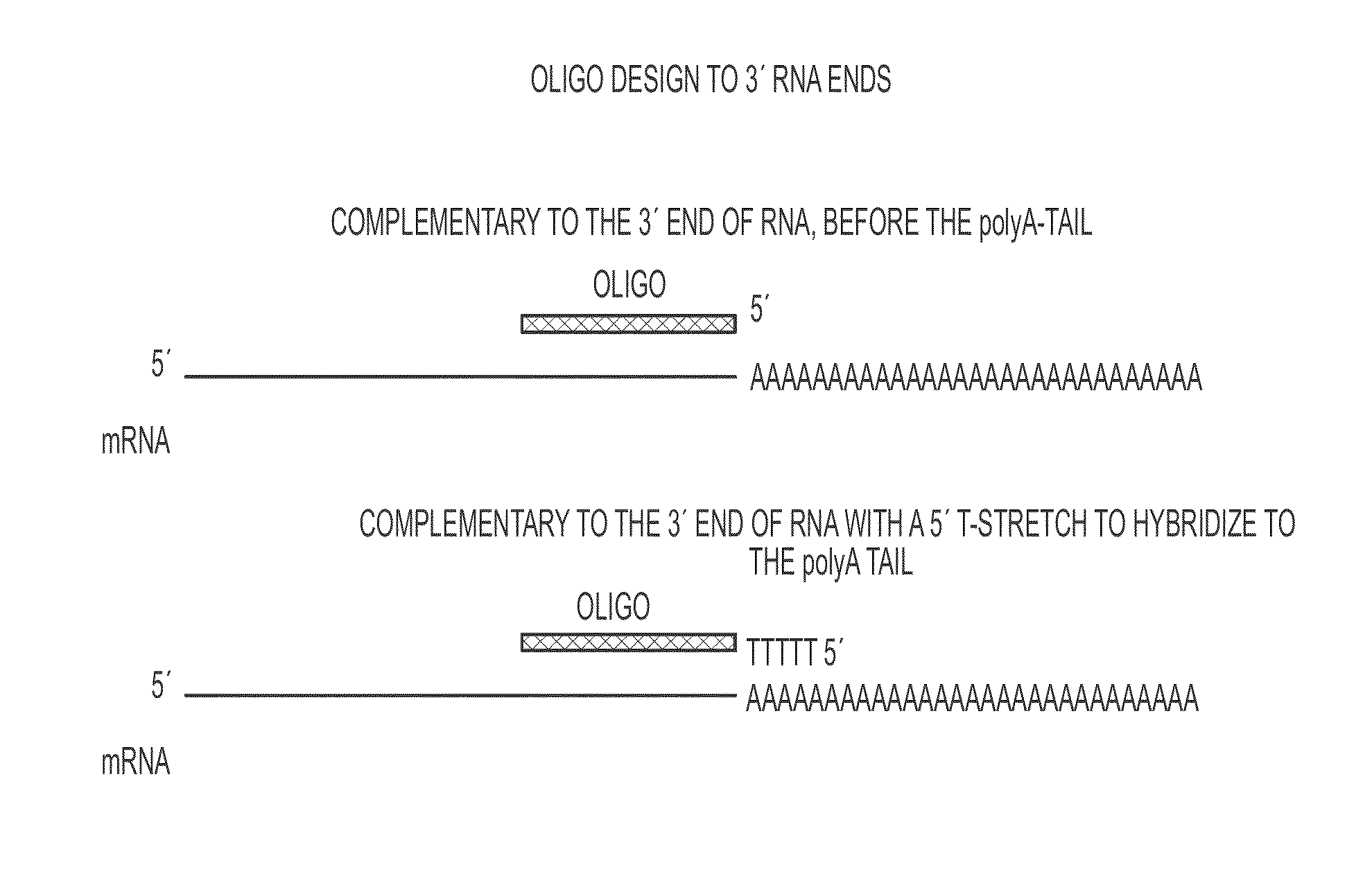 Pseudocircularization oligonucleotides for modulating RNA