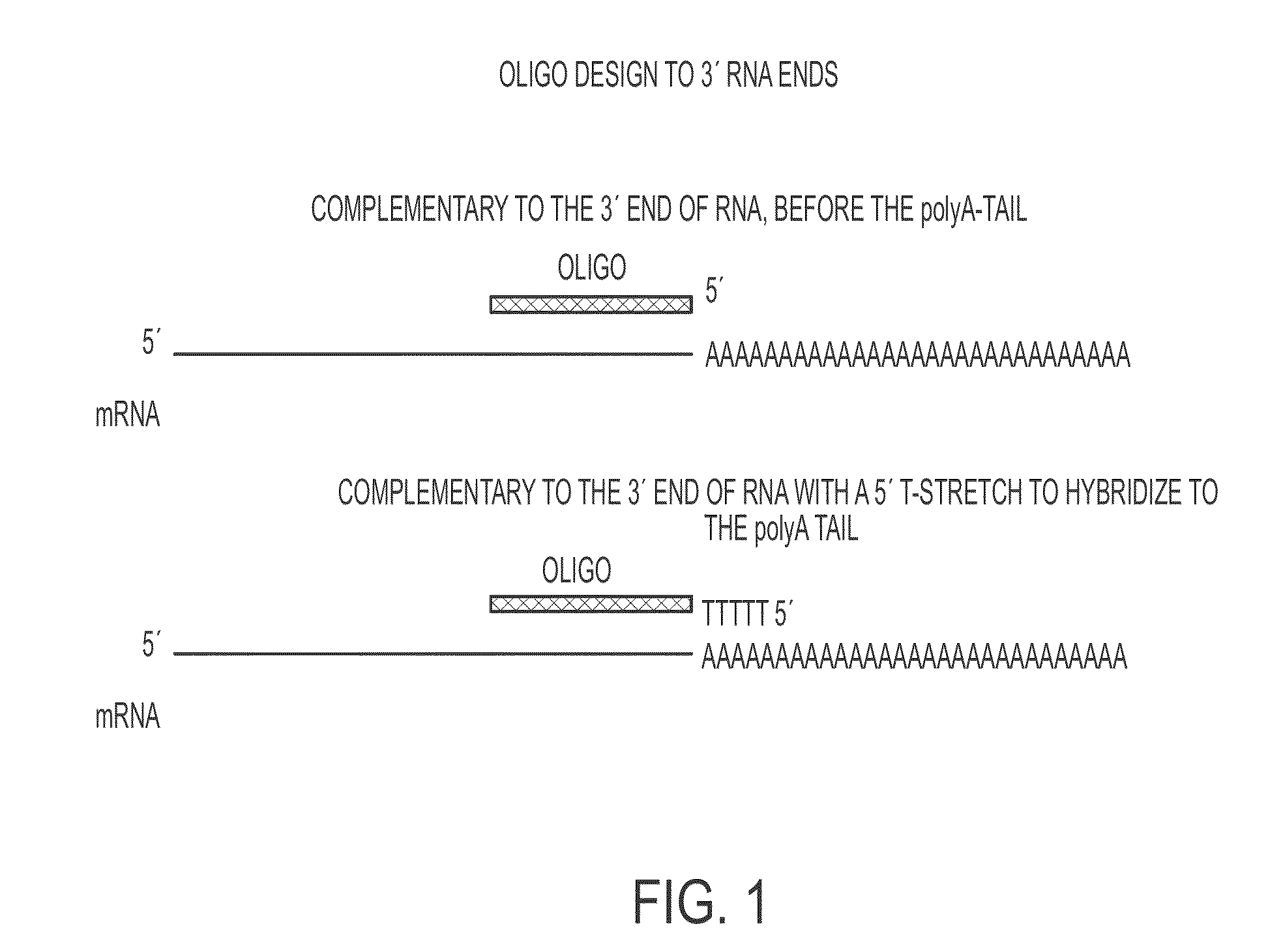 Pseudocircularization oligonucleotides for modulating RNA