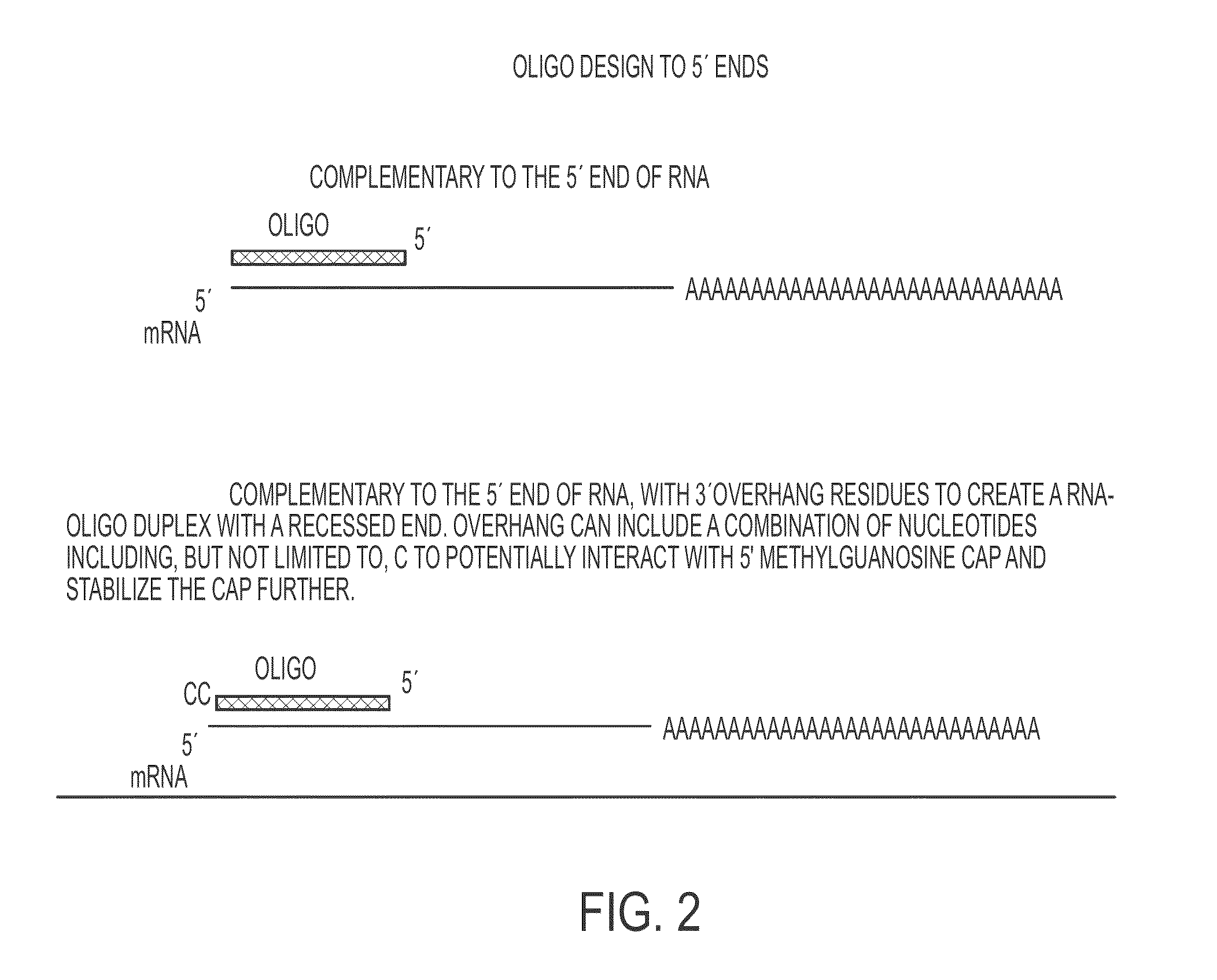 Pseudocircularization oligonucleotides for modulating RNA