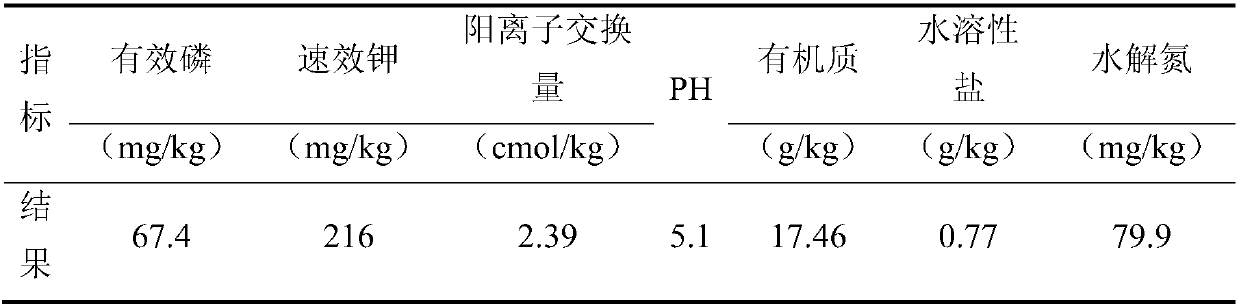 Method for correcting yellow leaves of citrus spring shoots