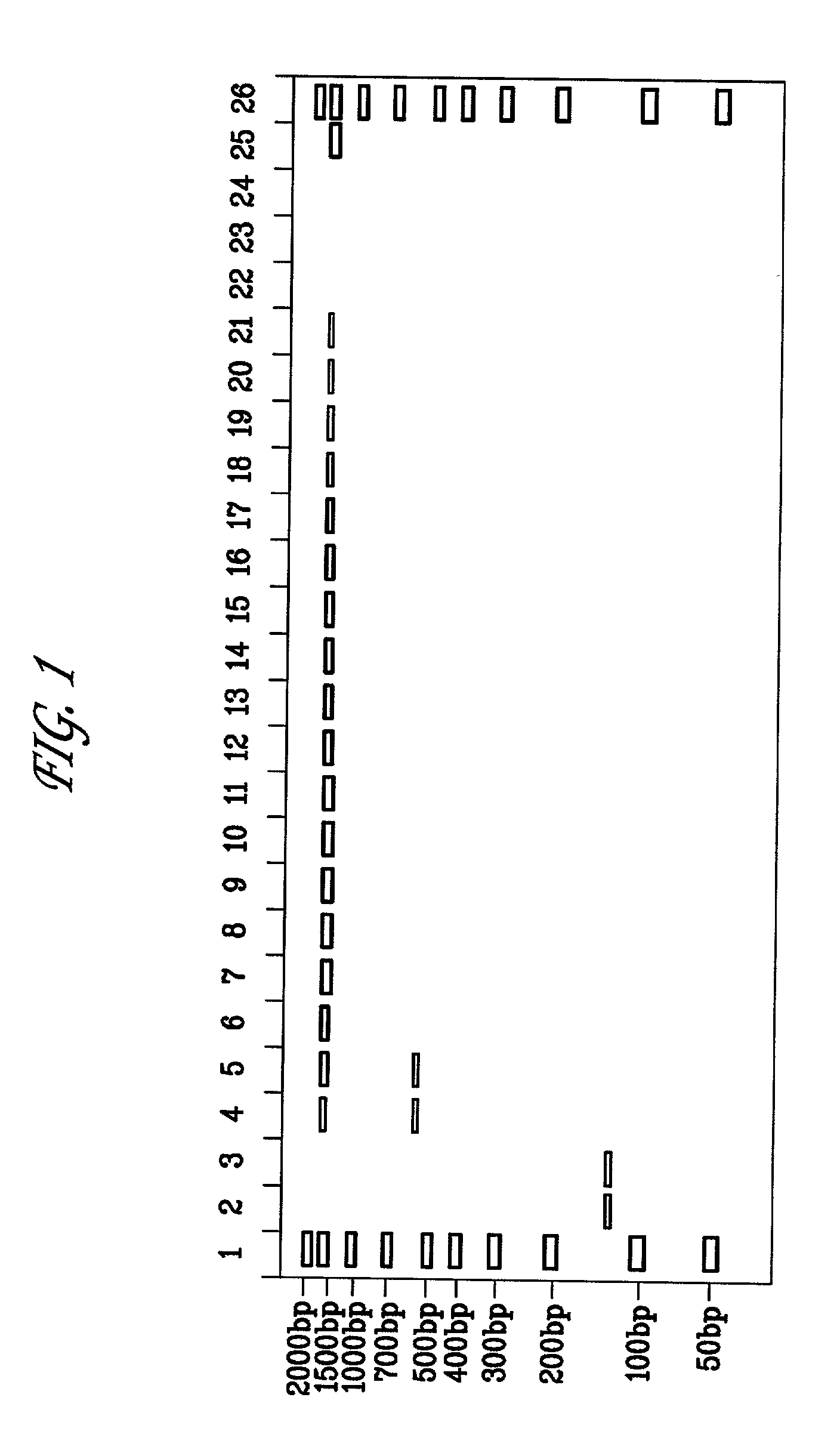 Method of reducing non-specific amplification in PCR