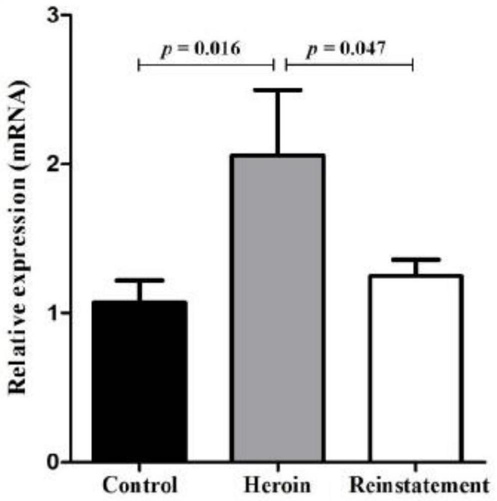 Application of GABRD gene in screening drugs against heroin relapse