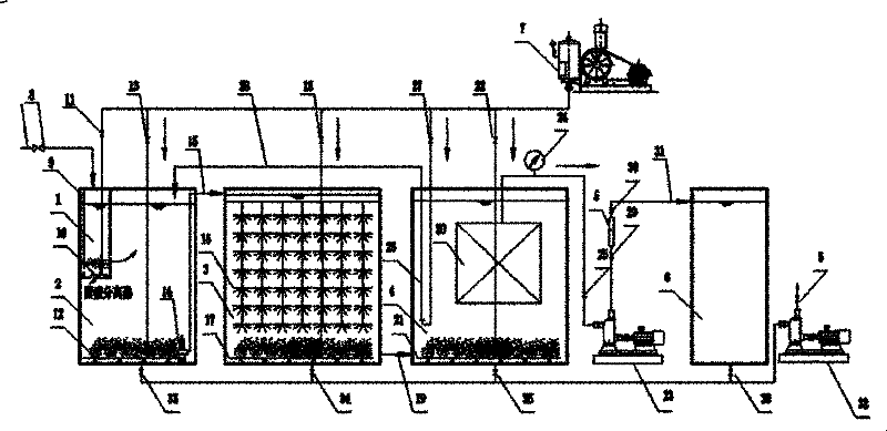 Advanced treating device and treating method of salty domestic sewage in ships