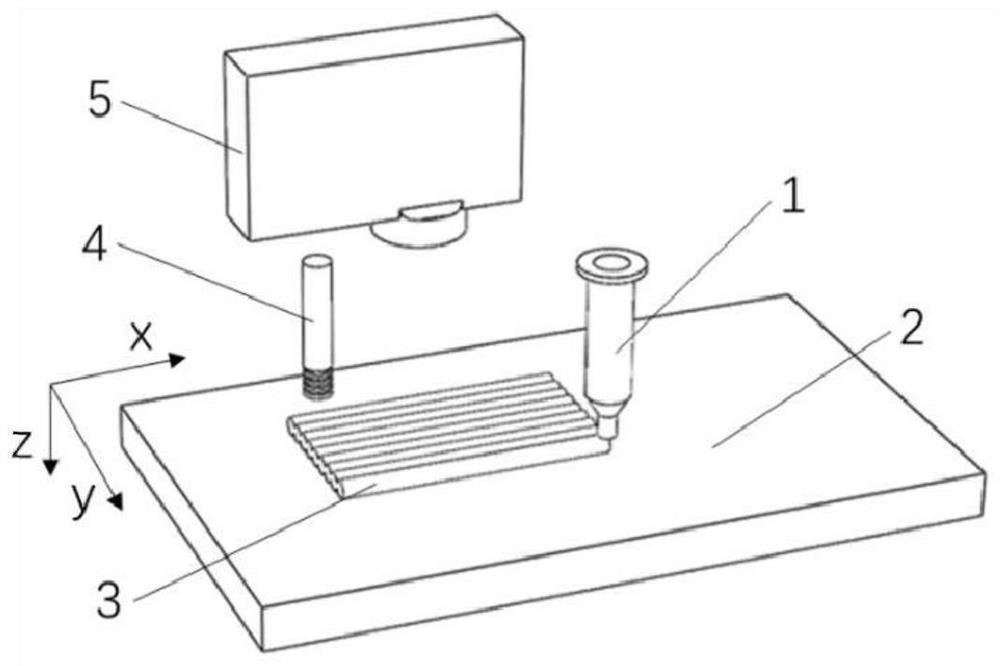 4D printing method for controlling deformation of liquid crystal elastomer material