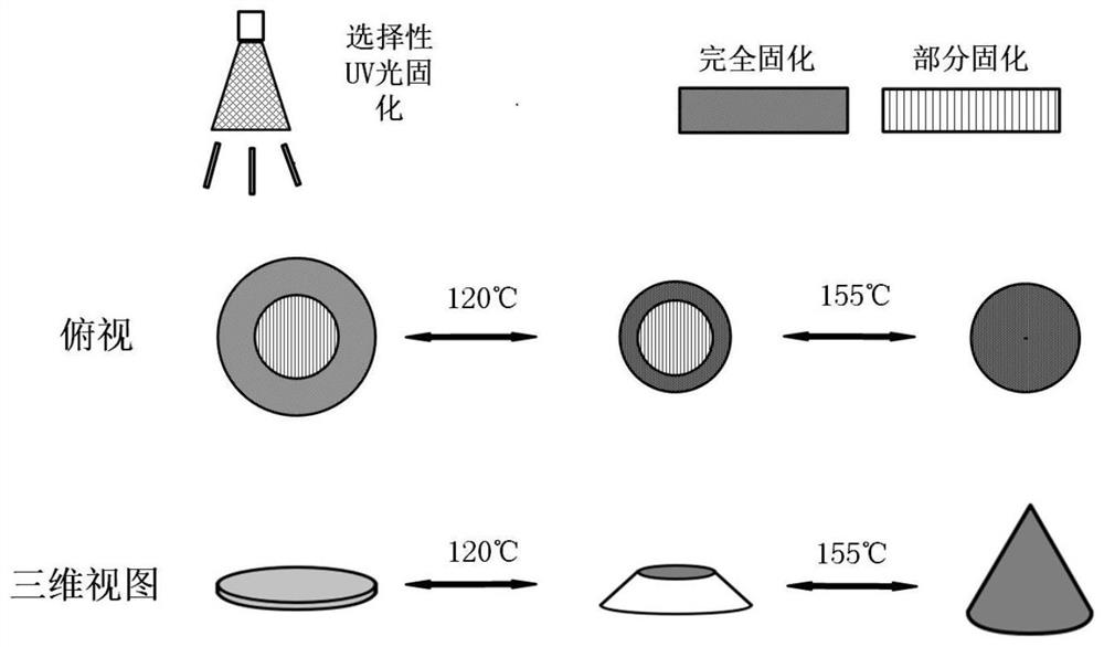 4D printing method for controlling deformation of liquid crystal elastomer material