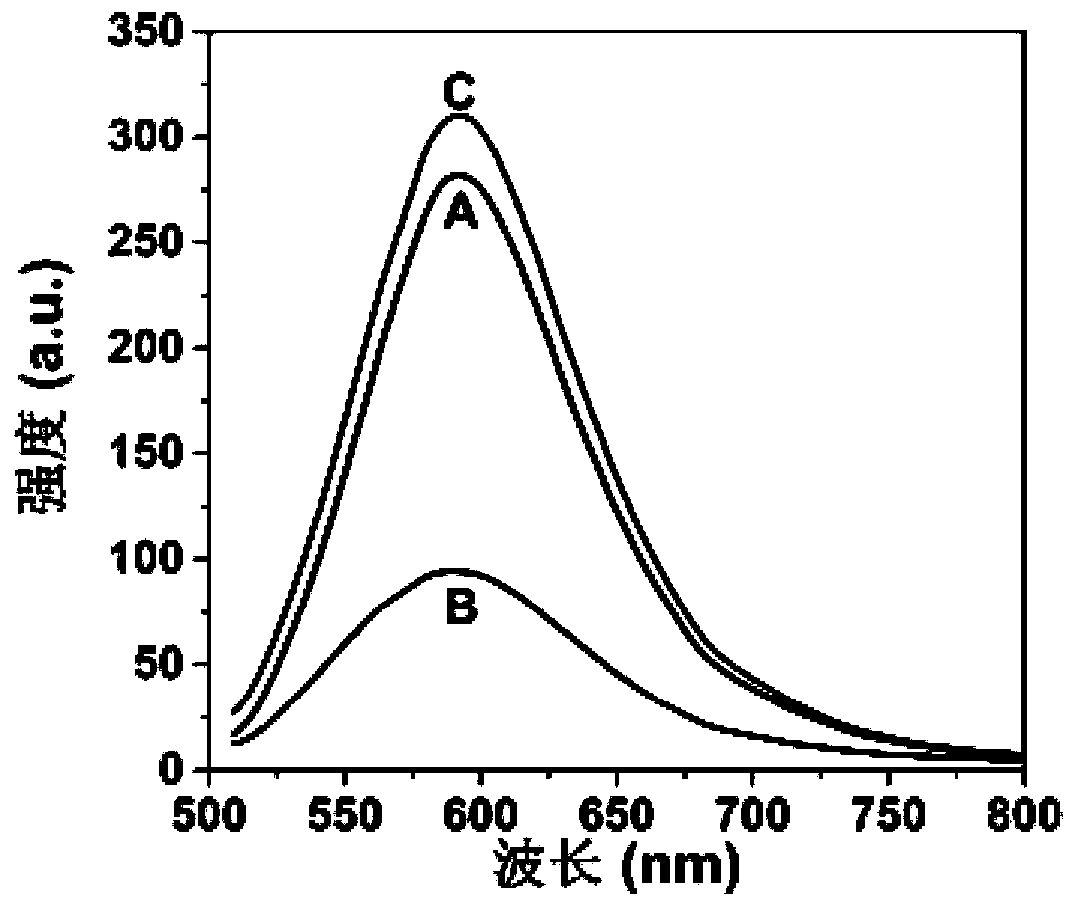 Acid phosphatase detection method based on cysteamine-N-acetyl-L-cysteine-gold nanocluster fluorescent material