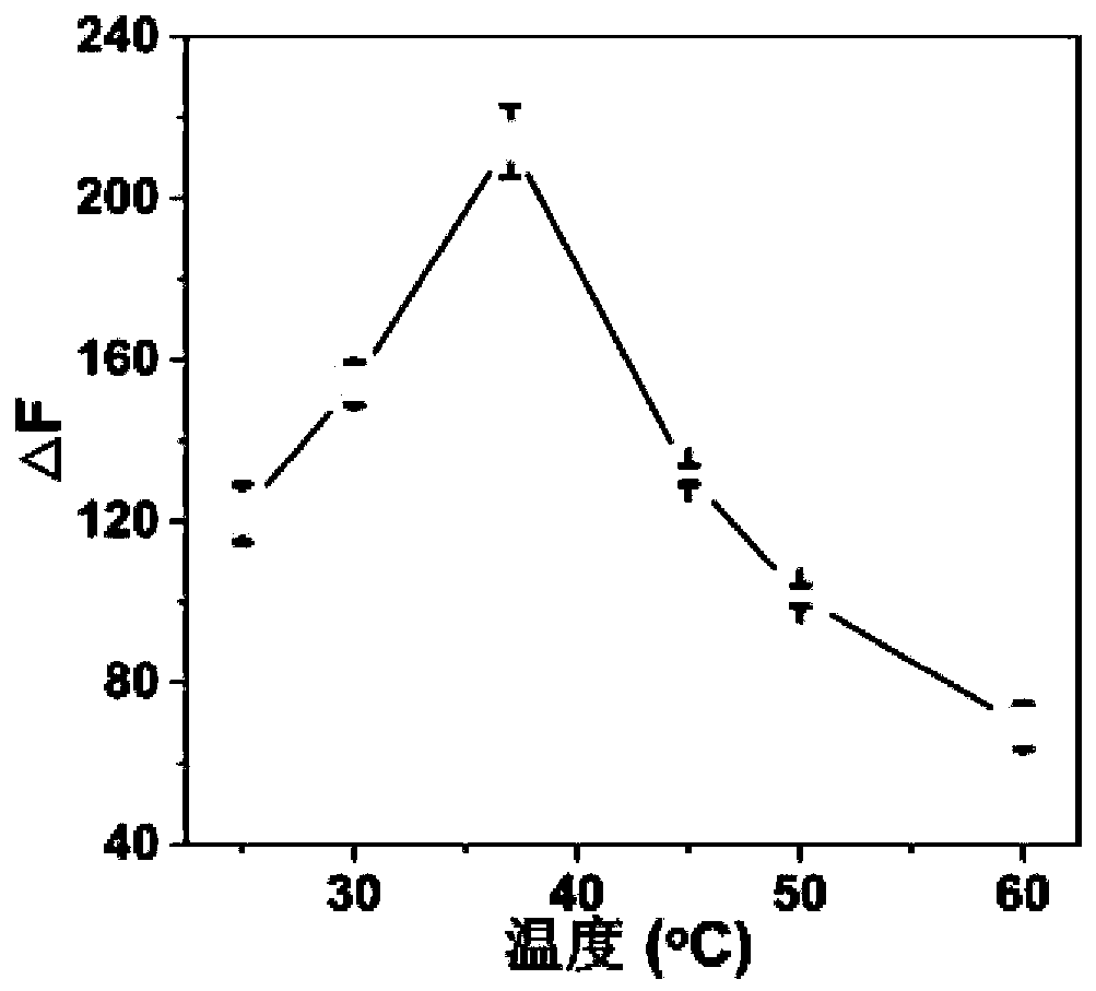 Acid phosphatase detection method based on cysteamine-N-acetyl-L-cysteine-gold nanocluster fluorescent material