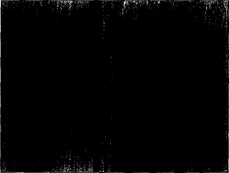 Method for automatically extracting image feature points of workpiece with rough grain under the strong reflection background