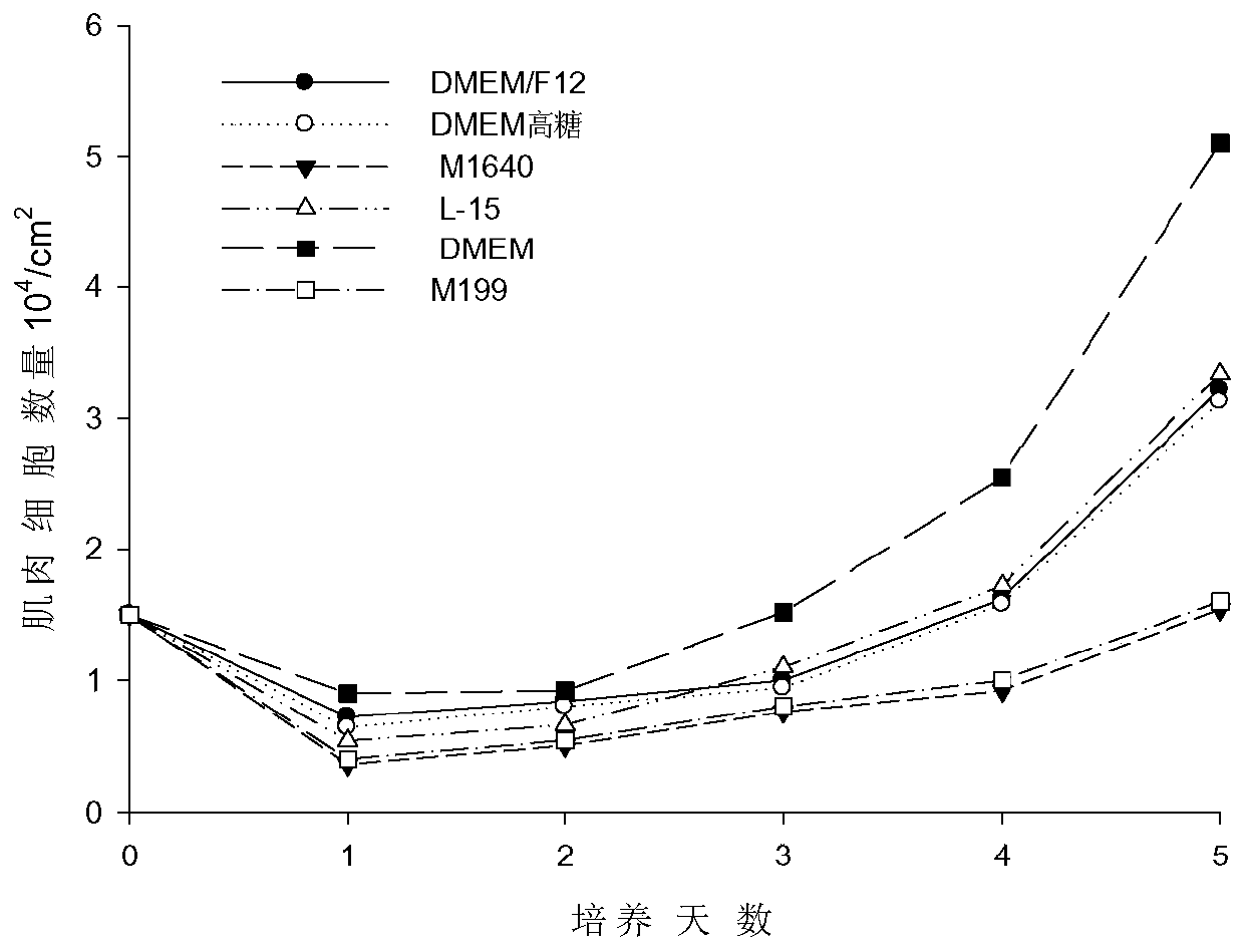 A method for constructing muscle cell line of soft-finned lobster fish