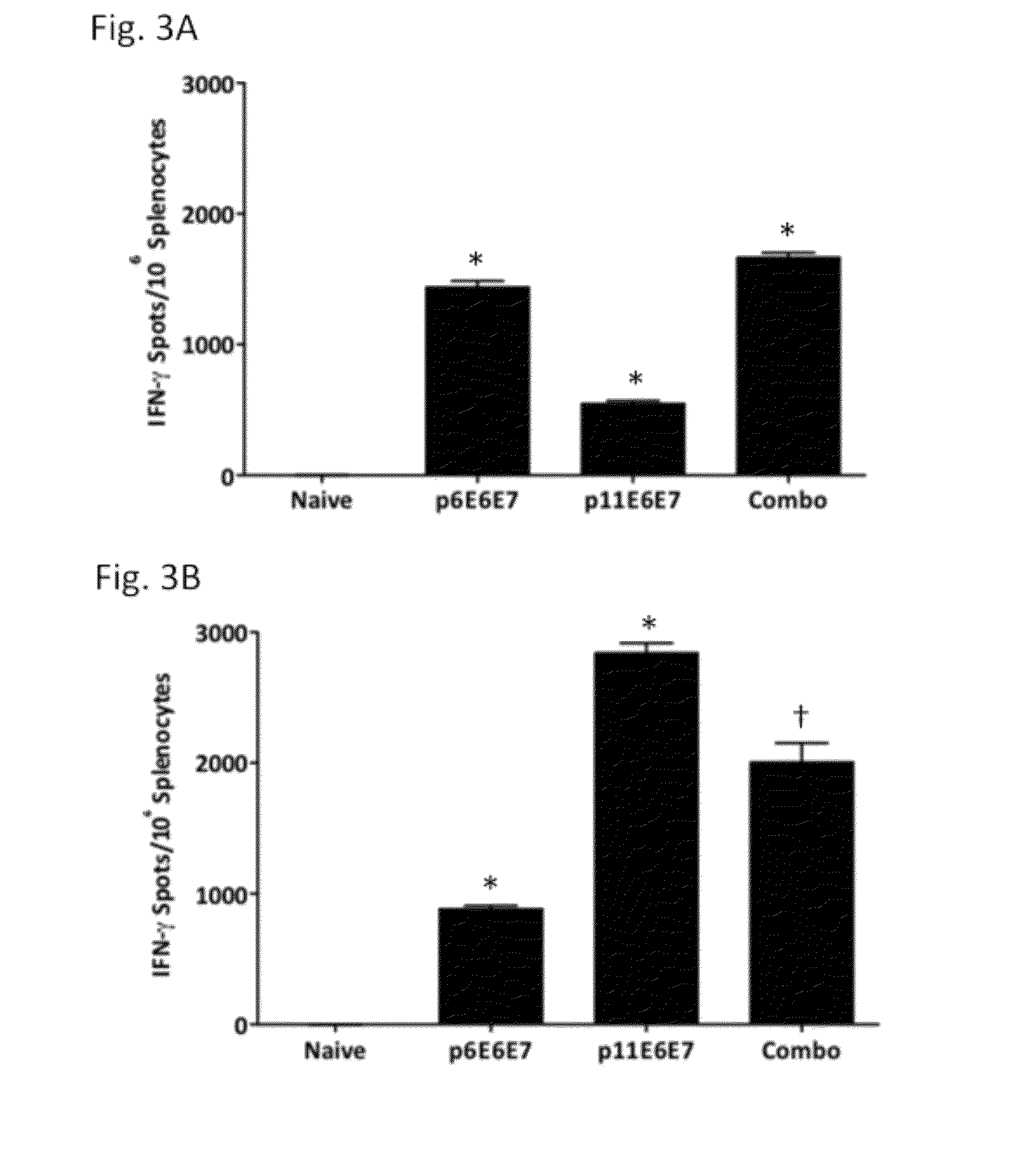 Vaccines for human papilloma virus and methods for using the same