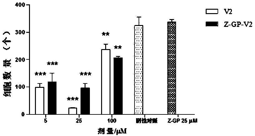 An anti-angiogenic peptide z-gp-v2 targeting FAP and its application