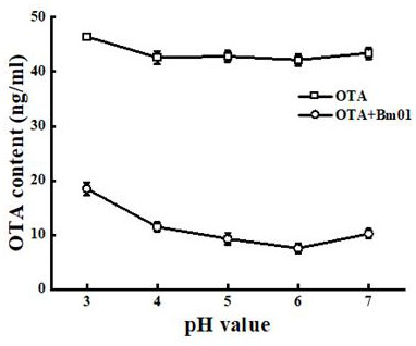 Lactobacillus rhamnosus with ochratoxin A removing effect