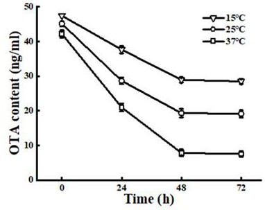 Lactobacillus rhamnosus with ochratoxin A removing effect