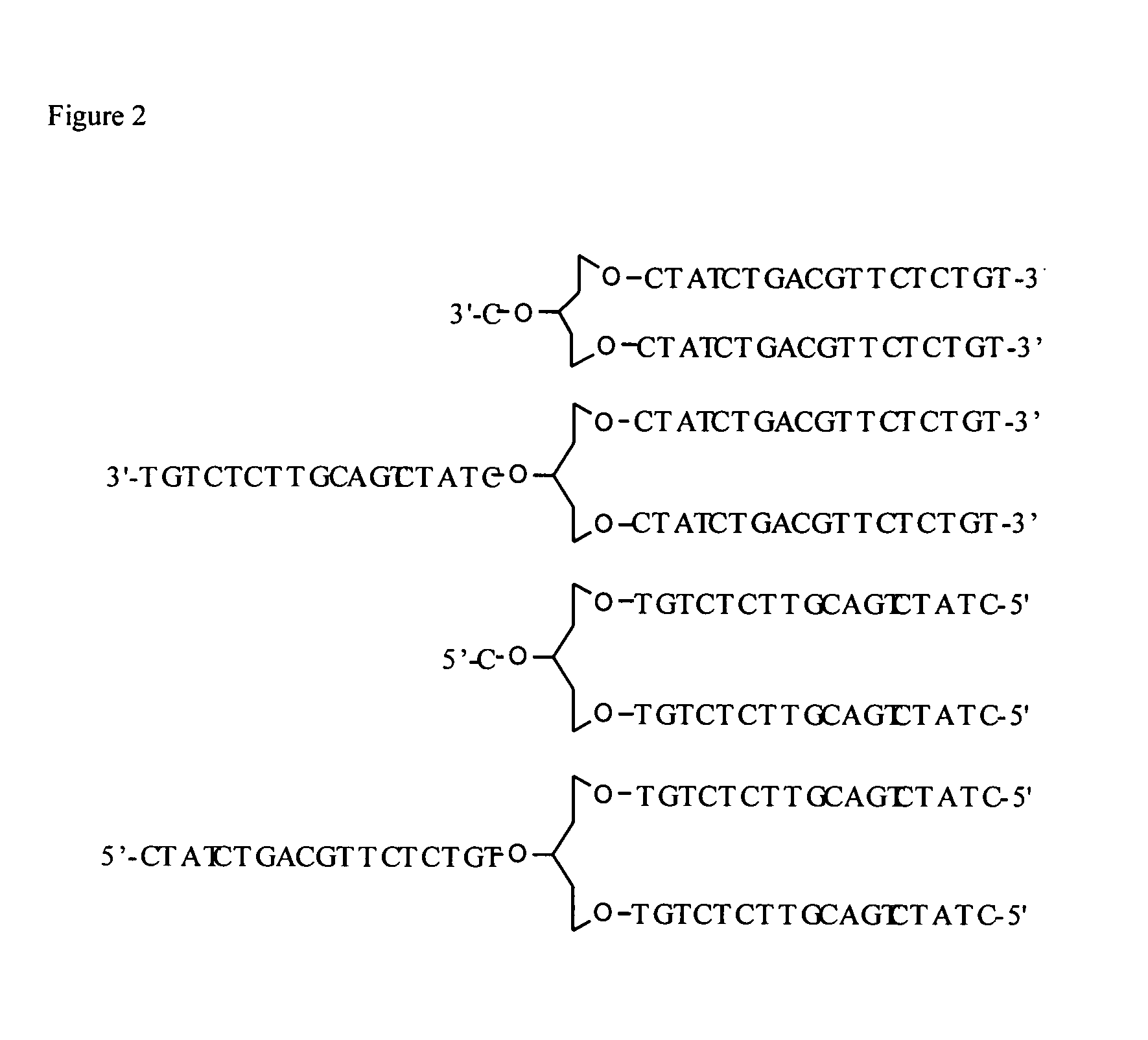 Synergistic treatment of cancer using immunomers in conjunction with chemotherapeutic agents