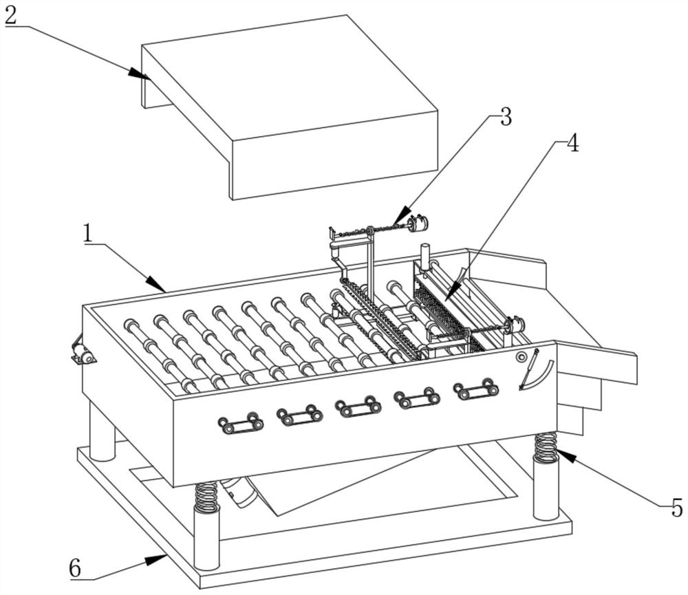 Sorting equipment for fish product processing