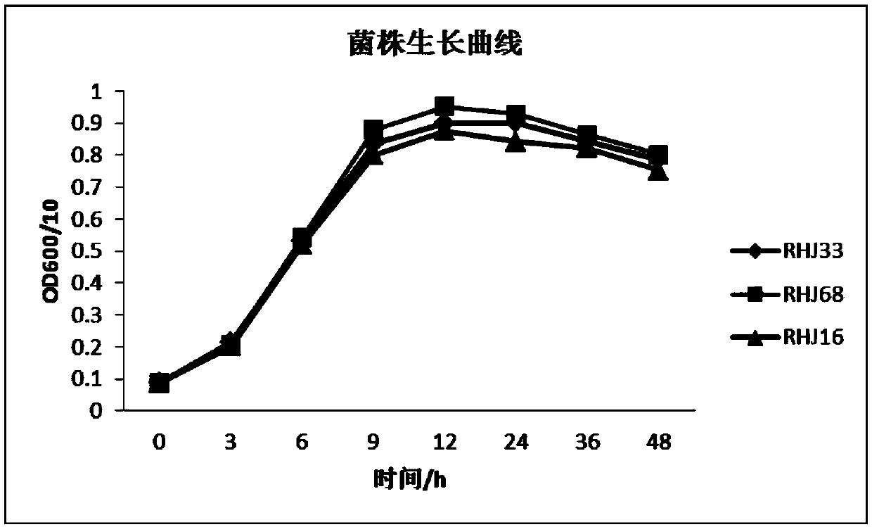 Chinese rice wine low-ethanol beverage and preparation method thereof