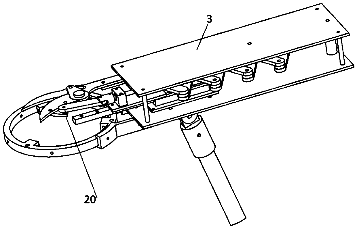 A self-adaptive auxiliary picker for citrus