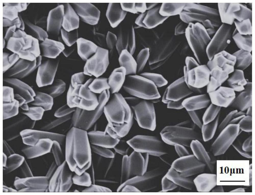 Preparation of an Array Structured Transition Metal Selenide Electrode and Its Application in Electrolysis of Water