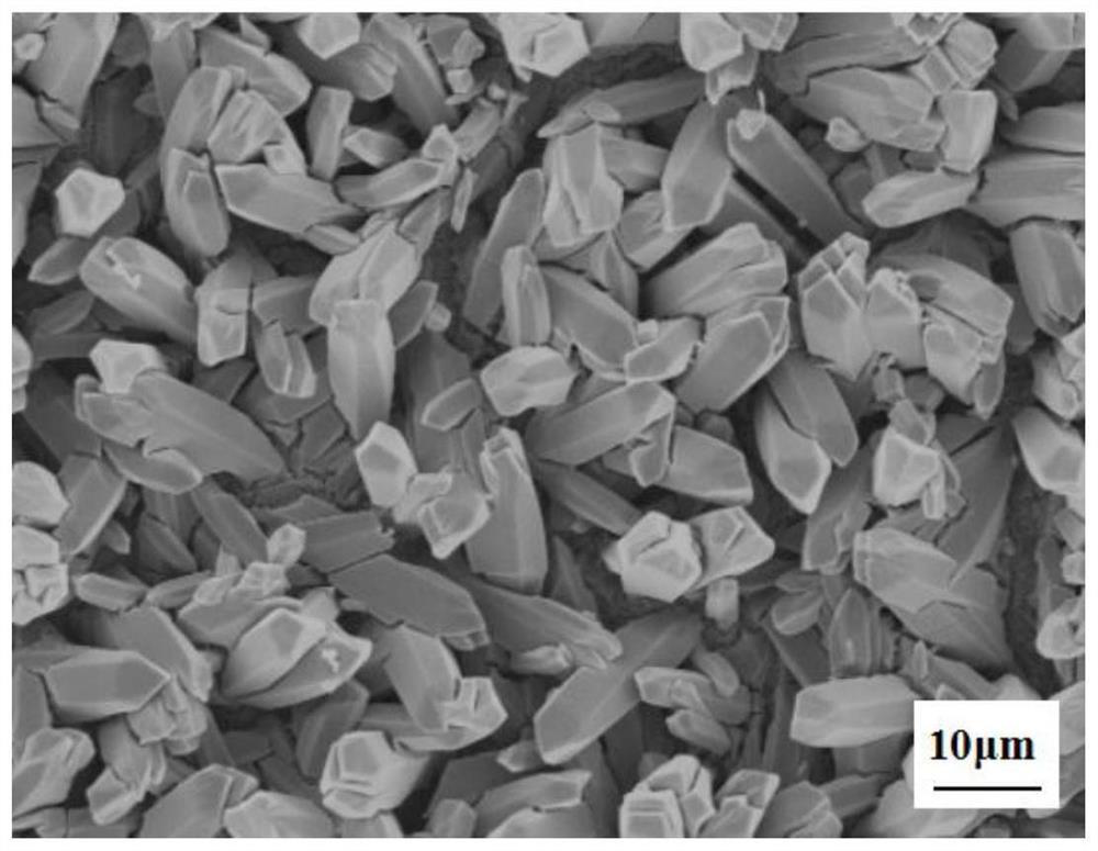 Preparation of an Array Structured Transition Metal Selenide Electrode and Its Application in Electrolysis of Water